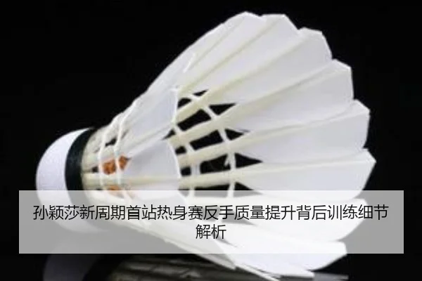 孙颖莎新周期首站热身赛反手质量提升背后训练细节解析 | hth.conapp