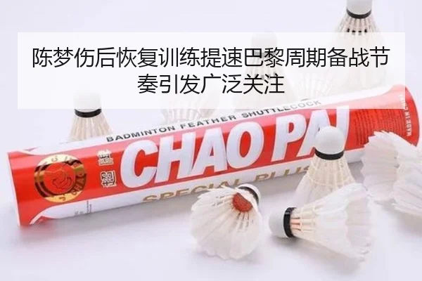 陈梦伤后恢复训练提速巴黎周期备战节奏引发广泛关注（hth.conapp）
