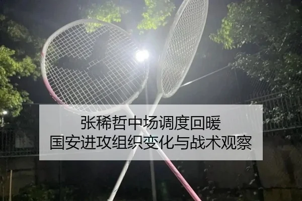张稀哲中场调度回暖 国安进攻组织变化与战术观察（hth.conapp）