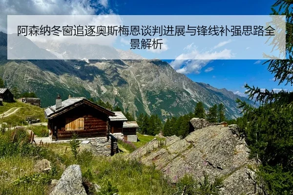 阿森纳冬窗追逐奥斯梅恩谈判进展与锋线补强思路全景解析 | hth.conapp